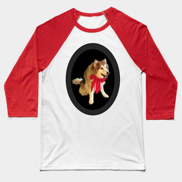 Cute Happy Wolf Dog With Red Bow Smiling - Carbon Fiber Frame Baseball T-Shirt by CDC Gold Designs